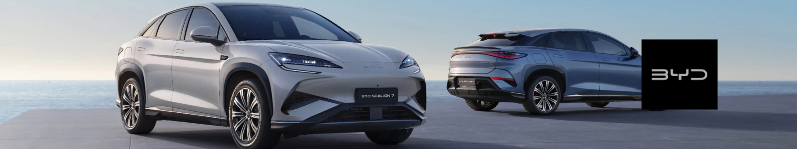 BYD banner