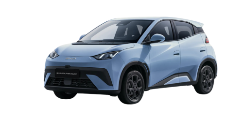 Dolphin Surf Boost PNG