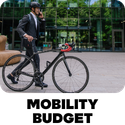 Mobility budget